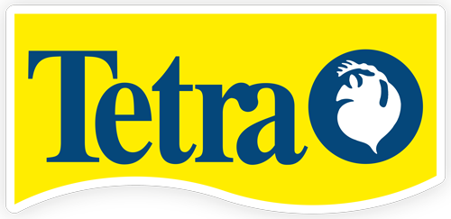 Tetra